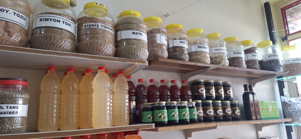 Bitki Çeşitleri - Görsel 4